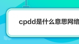 cpddʲô˼WjZ