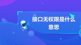 ӿڟoʲô˼