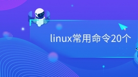 linux20(g)